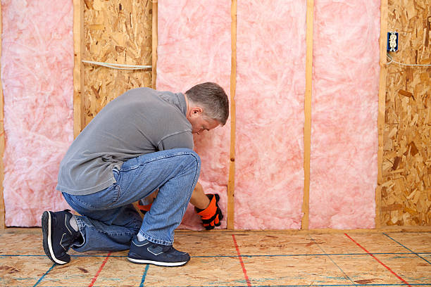 Best Types of Insulation in Langhorne Manor, PA